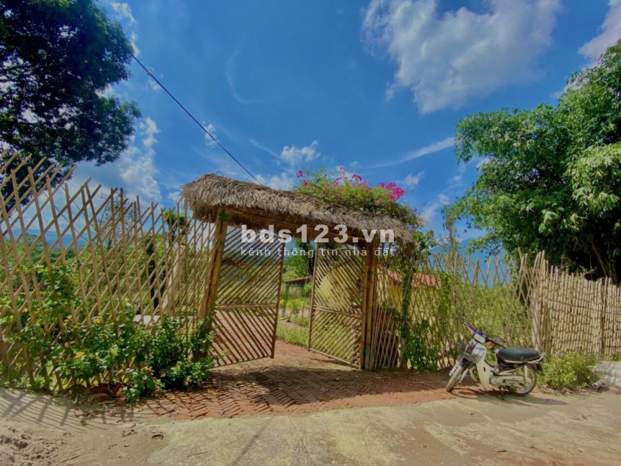 Nông trại vui vẻ 2790m2 giá rẻ đang chờ đón các vị đại gia về tránh dịch tại ba vì Hà Nội