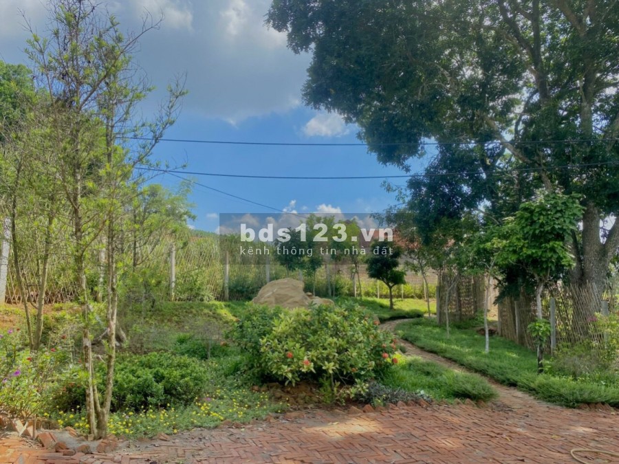 Nông trại vui vẻ 2790m2 giá rẻ đang chờ đón các vị đại gia về tránh dịch tại ba vì Hà Nội