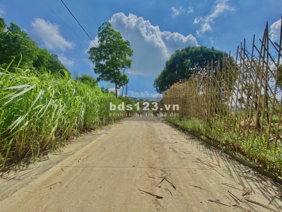 Nông trại vui vẻ 2790m2 giá rẻ đang chờ đón các vị đại gia về tránh dịch tại ba vì Hà Nội