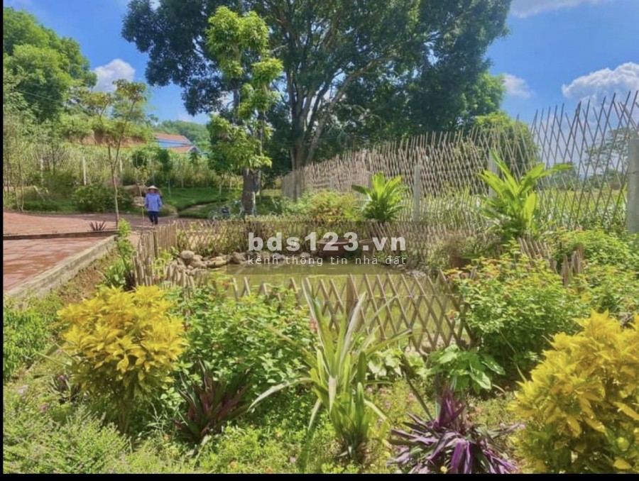 Nông trại vui vẻ 2790m2 giá rẻ đang chờ đón các vị đại gia về tránh dịch tại ba vì Hà Nội
