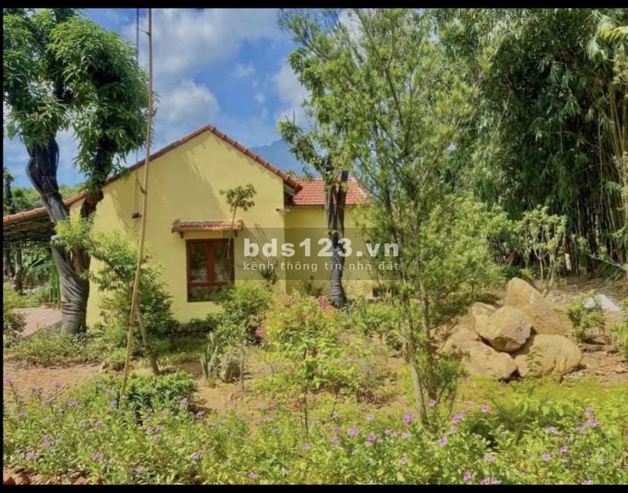 Nông trại vui vẻ 2790m2 giá rẻ đang chờ đón các vị đại gia về tránh dịch tại ba vì Hà Nội