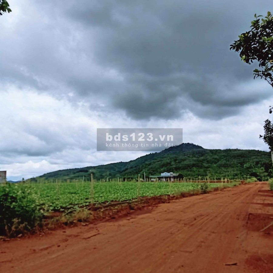 Lô đất diện tích 500m2 cực đẹp ởĐông Thanh, Lâm Hà Giá 750 triệu thương lượng, lh 0935434534