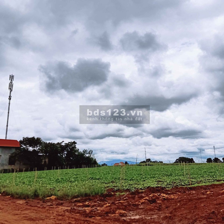 Lô đất diện tích 500m2 cực đẹp ởĐông Thanh, Lâm Hà Giá 750 triệu thương lượng, lh 0935434534