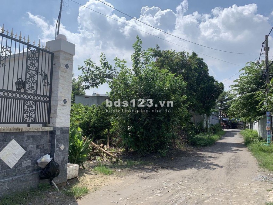 Bán đất đường Thị Trấn Tân Hiệp, TT Hóc Môn. 8,650 tỷ 227m2 thổ cư ngang 9,9m