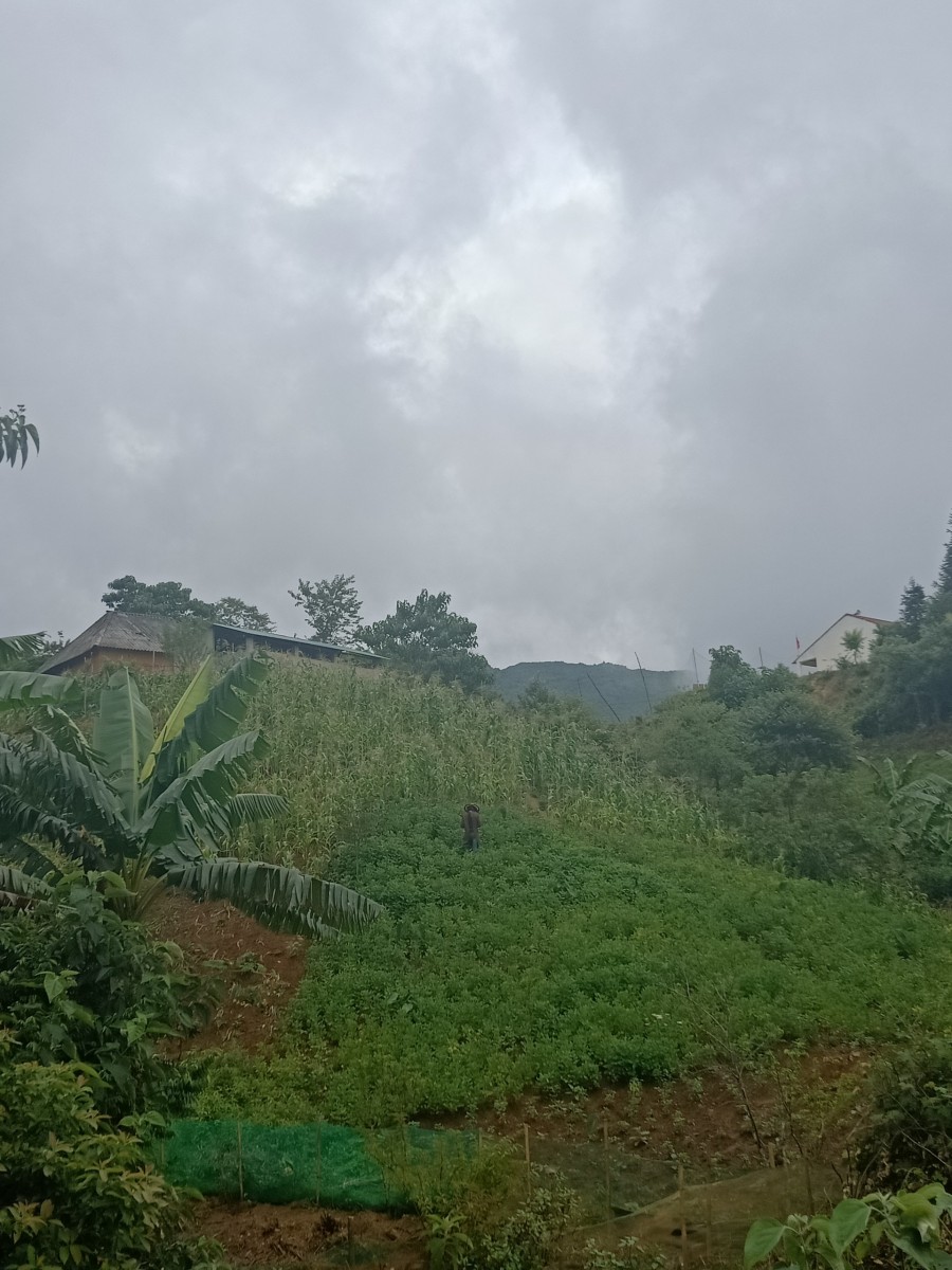 Đất nền trung tâm quy hoạch khu đô thị du lịch SAPA 2- Đón sóng đầu quy hoạch.