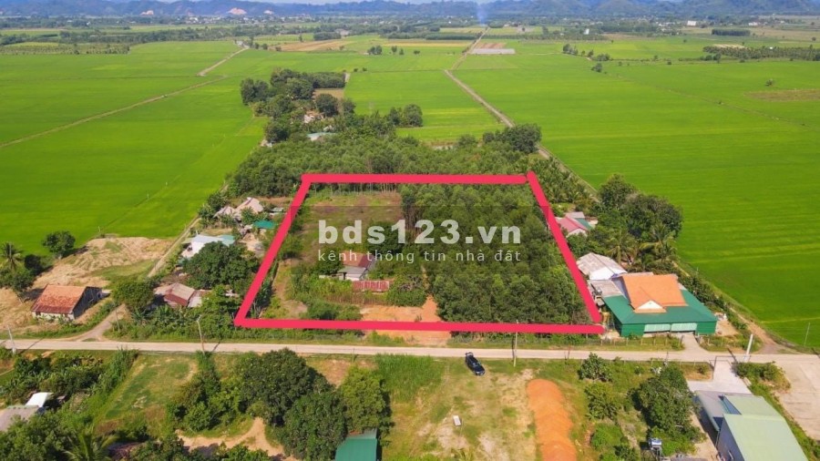 Đất mặt tiền ngang 60m diện tích 6239m2 có thổ cư Tân Phú Đồng Nai giá chỉ 321tr/1000m2