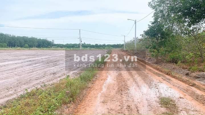 Tôi chính chủ cần bán lô đất ấp 11 Minh Hưng Chơn Thành Bình Phước. Dien tích 625m2 giá rẻ hơn thị trường 200tr