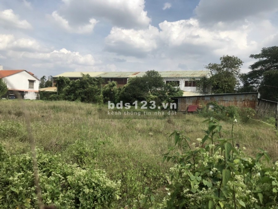 Cho thuê đất diện tích 9000m2 An Phú Đông 9 Quận 12, đất trống bằng phẳng, mặt tiền 100m
