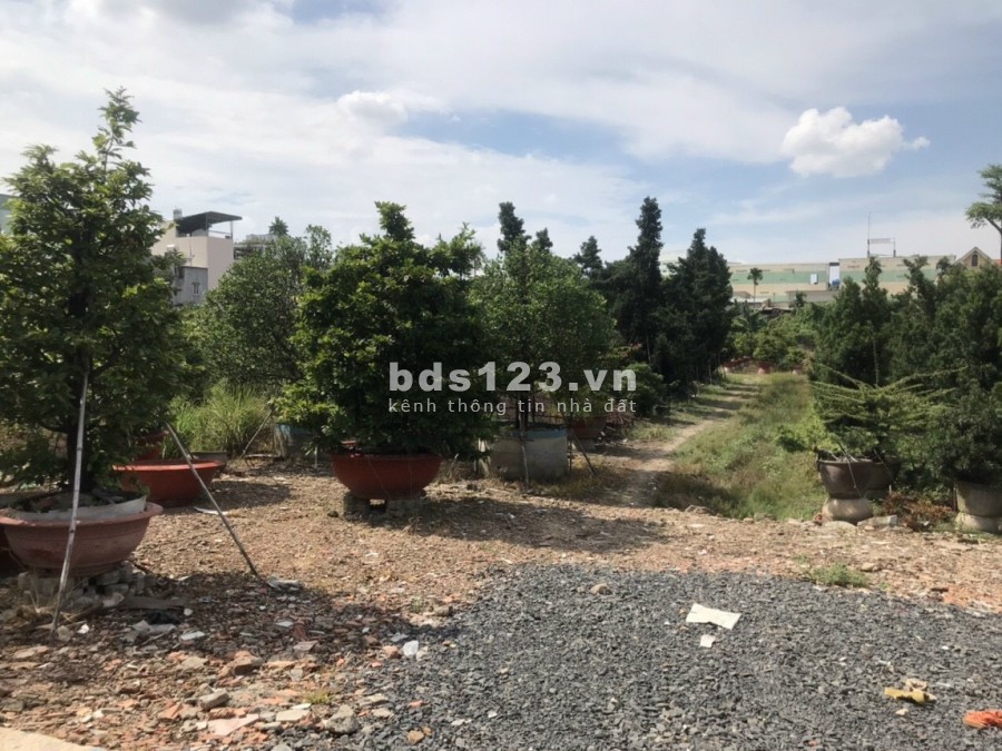 Cho thuê đất diện tích 9000m2 An Phú Đông 9 Quận 12, đất trống bằng phẳng, mặt tiền 100m