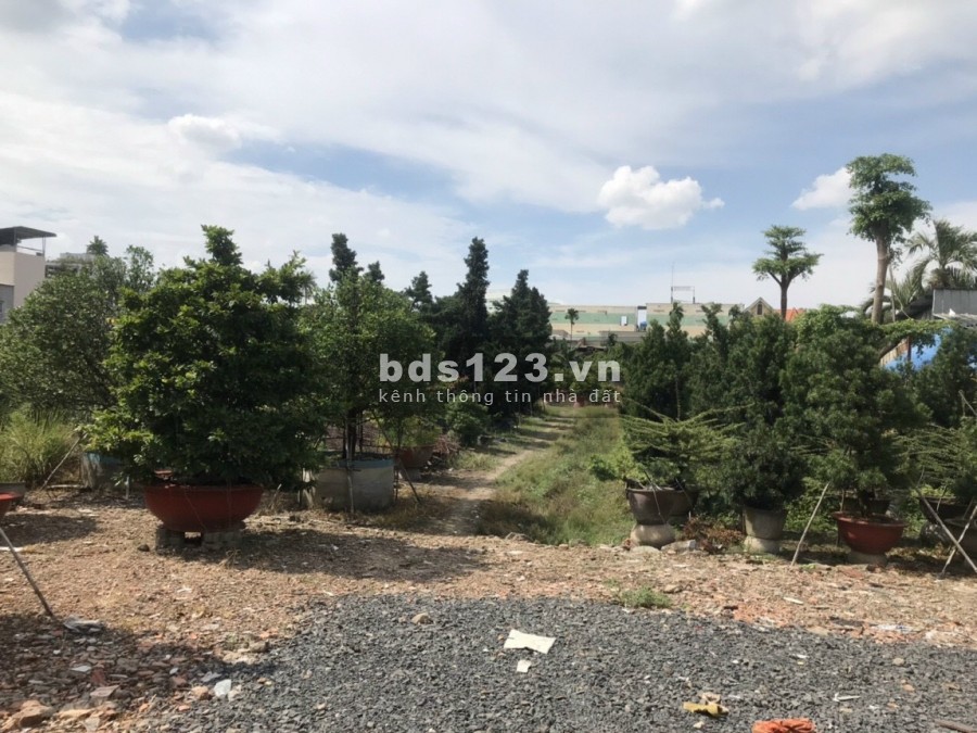Cho thuê đất diện tích 9000m2 An Phú Đông 9 Quận 12, đất trống bằng phẳng, mặt tiền 100m