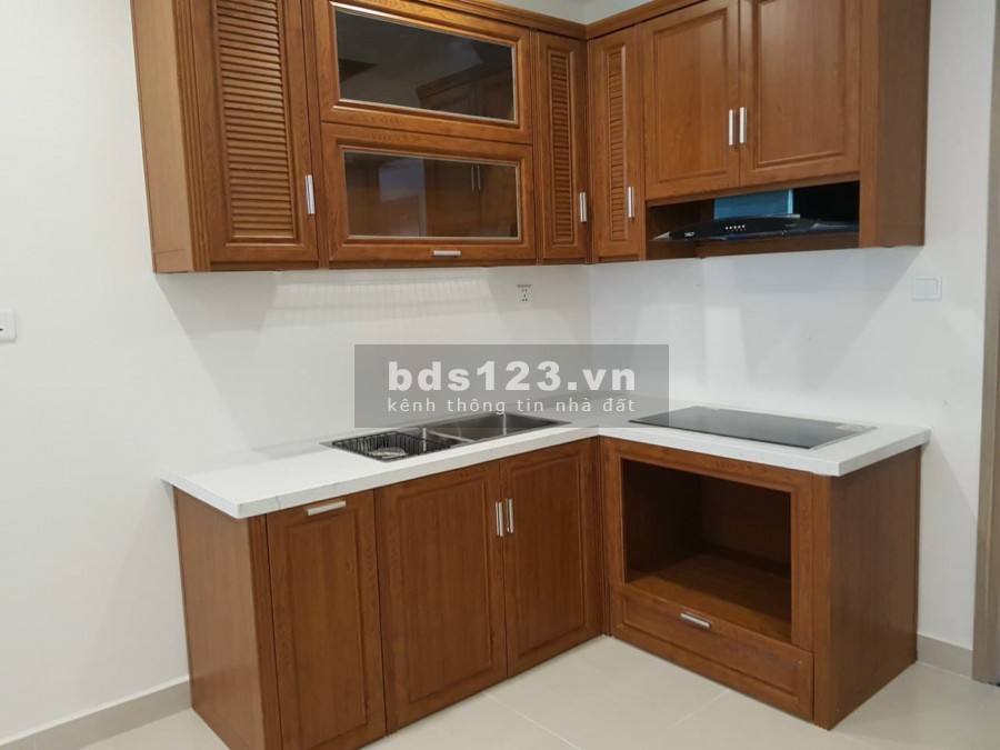 Cho thuê căn hộ mới 100% tại Vinhomes osean park