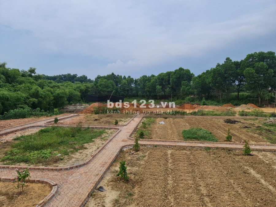 Chính chủ cần bán mảnh đất 7500m2 Tại Samsung Thái Nguyên 4,5 triệu/m2