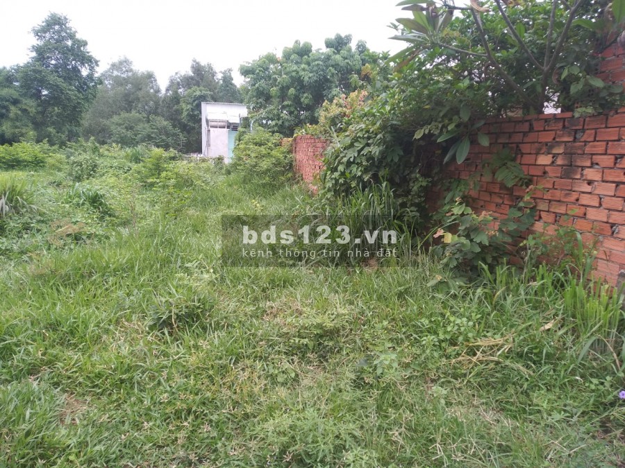 Bán đất thành phố Đồng Xoài diện tích sử dụng 1600m2 giá 650 triệu sổ sẵn hỗ trợ vay