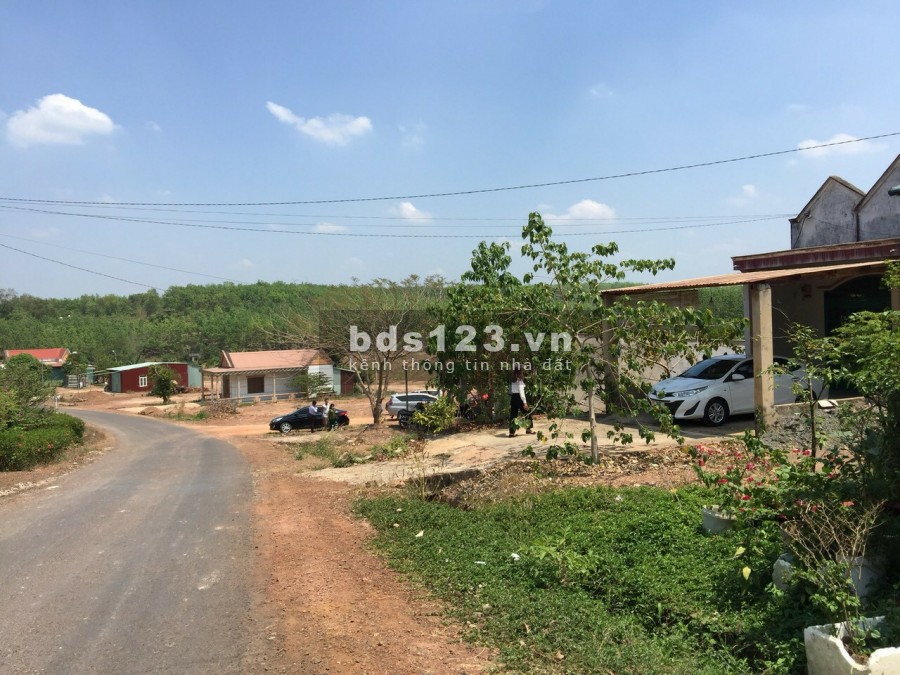 Chính chủ bán gấp diện tích sử dụng 250m2 đất thành phố sẵn 100m2 thổ cư pháp lý đầy đủ