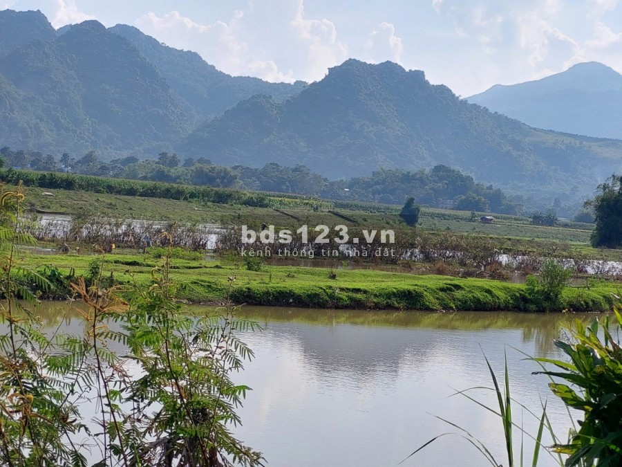 Siêu phẩm bám sông Bôi dài hơn 400m, Giá cực tốt cho nhà đầu tư phù hợp làm nghỉ dưỡng