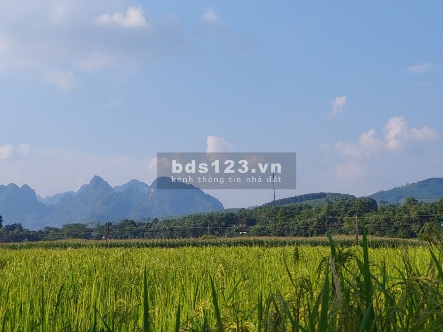 Siêu phẩm bám sông Bôi dài hơn 400m, Giá cực tốt cho nhà đầu tư phù hợp làm nghỉ dưỡng