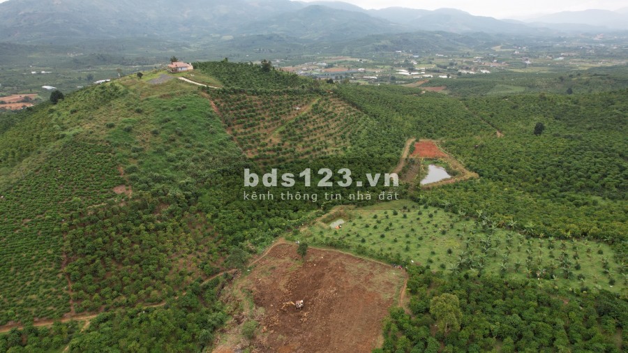 Bán đất đường Phan Huy Ích Xã Lộc Châu tp Bảo Lộc