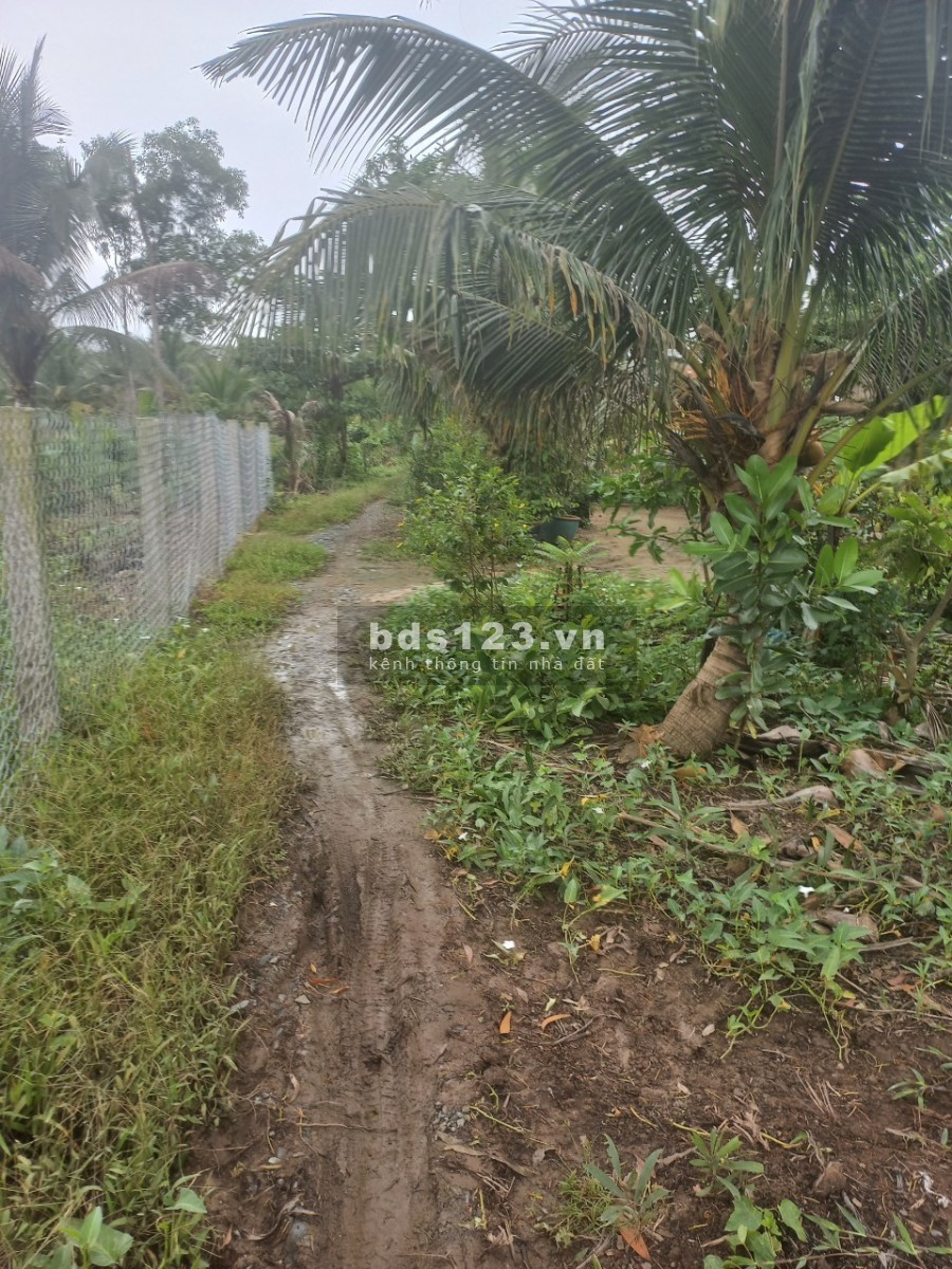 Bán đất khu phố 11 huyện thủ thừa diện tích sử dụng 132m2 giá bán 470 triệu, bàn giao sổ ngay