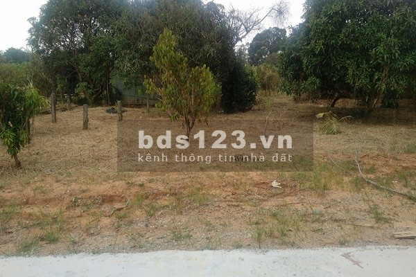 Cần bán gấp nền đất 1022,3m2 ở xã Tân Hưng đường rộng 26m giá 580 triệu - 0865.939.679 Lâm