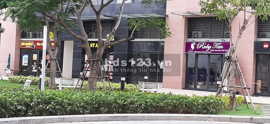 Cho thuê căn hộ The Sun Avenue dt 90m2, không nội thất, 3 pn, có rèm cửa, lh 0909722103