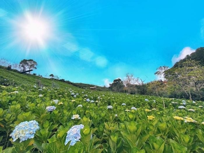Chính Chủ Cần Bán 2 Lô Đất Giá Rẻ Nhất tại phường 12, Đà Lạt giá 600 triệu, thương lượng
