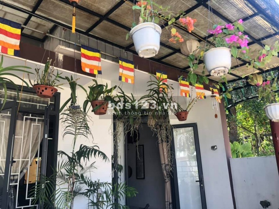 Cần bánh ngay nhà nguyên căn nằm trong trung tâm thành phố, phong cách hiện đại sang trọng