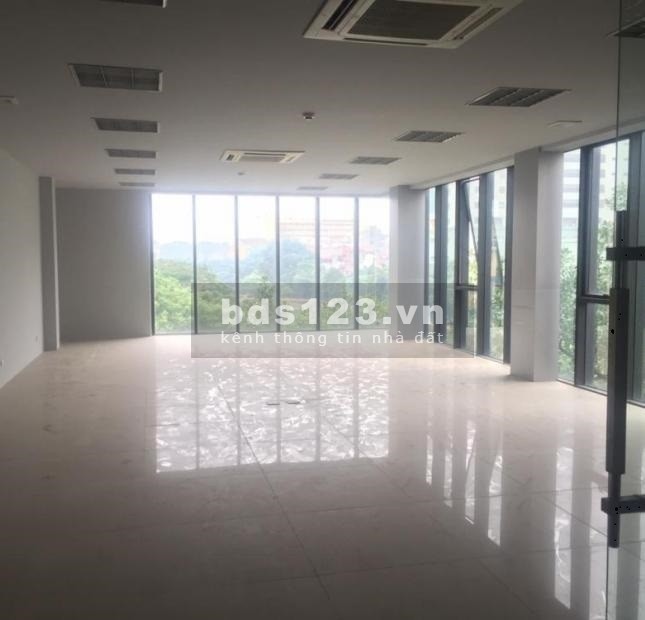 Cho thuê văn phòng tiêu chuẩn 35m2, 80m2 view hồ, ánh sáng tự nhiên tại 71 Chùa Láng, Đống Đa