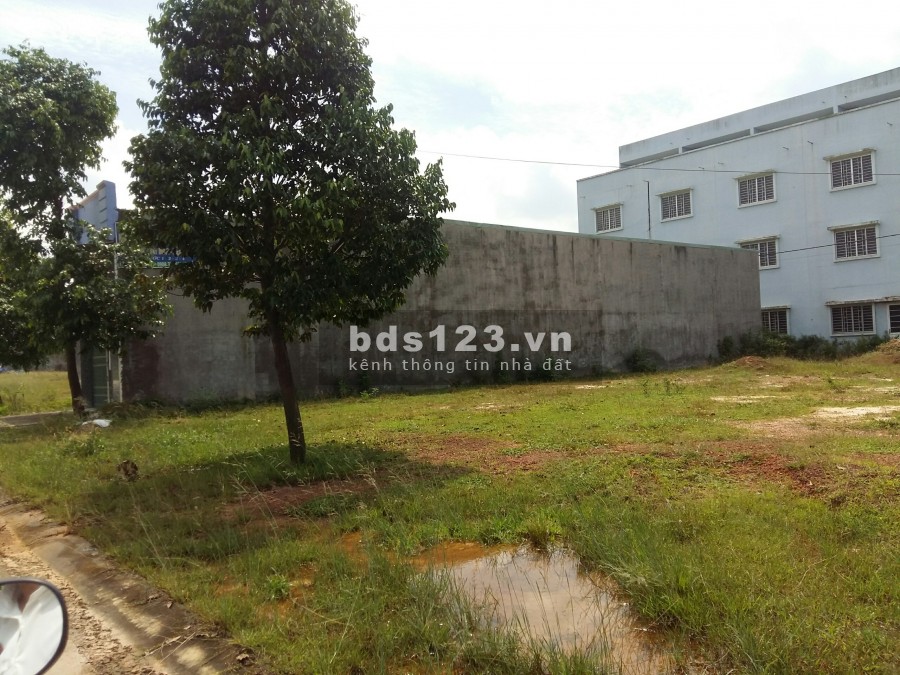 Cần bán Gấp Thửa đất ngay Đầu ngõ Vương Thừa Vũ giá bán 10 tỷ, diện tích sử dụng 125m2