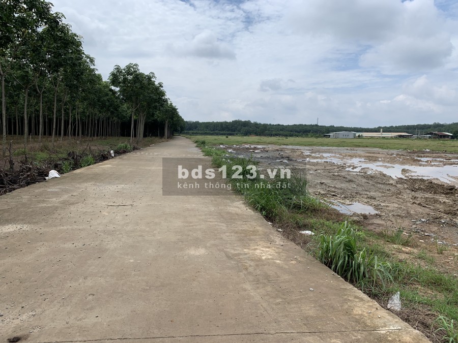 Chính chủ gởi bán lô đất thành phô Đồng Xoài ngay sau khu công nghiệp Bắc Đồng Phú