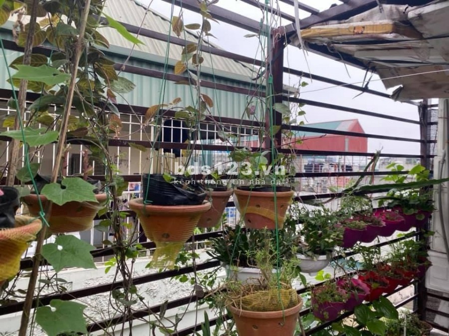 Bán nhà nguyên căn ngõ 73 Hoàng Ngân, giá rẻ diện tích 50m2, 4 tầng, 5 pn, giá 70 triệu/tháng