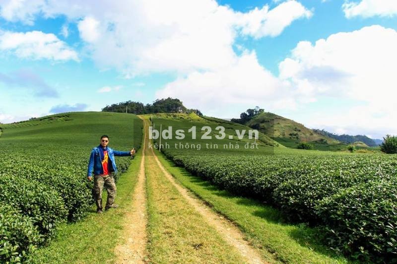 Bán cắt lỗ mảnh đất gần 2.000m2 tại Mộc Châu giá phù hợp để đầu tư, sổ đỏ rõ ràng