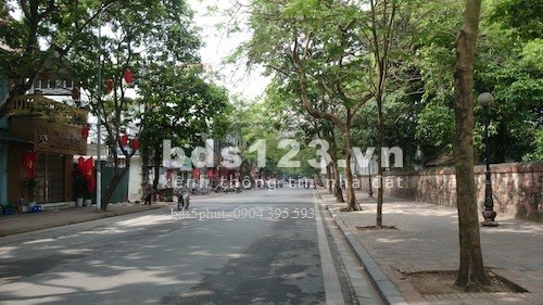 Tòa nhà phố Văn Miếu, Đống Đa 220m2 x 6 tầng MT 7m. Chào K60 tỷ.