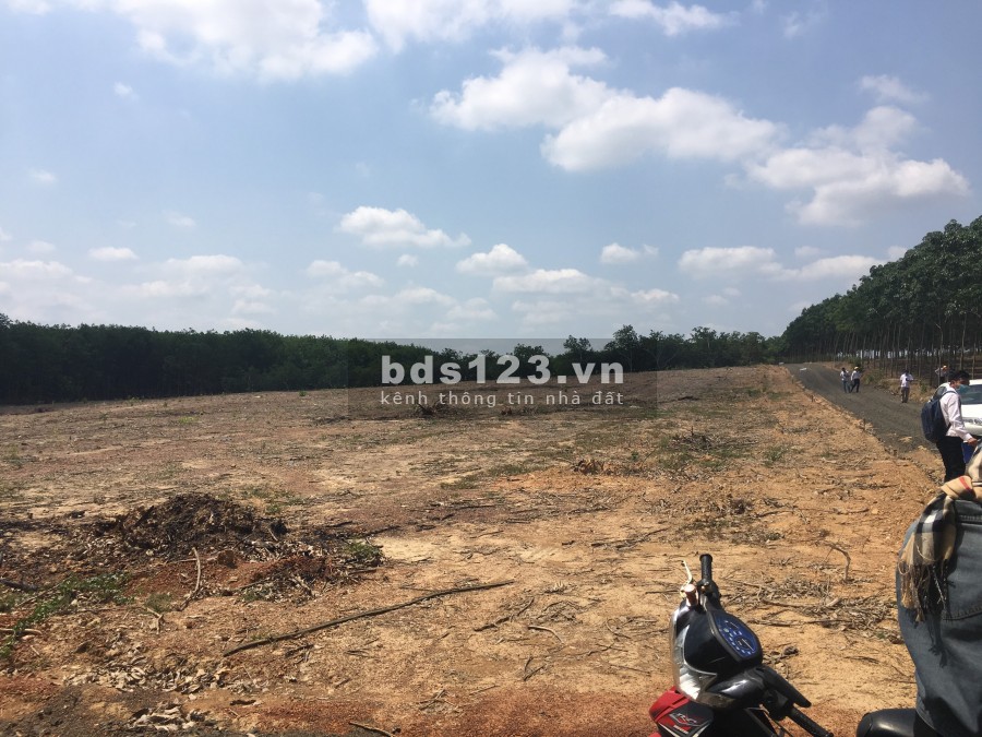 Chính chủ gởi bán lô đất 1000m Tân Lợi Ngay ngã ba huyện đội đi vào