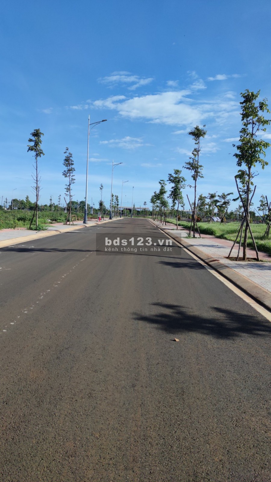 Đất nền đầu tư giá tôt cạnh trường Hoàng Việt, thanh toán nhiều hình thức linh hoạt