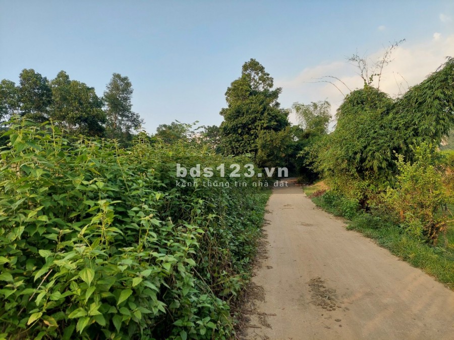 Bán siêu phẩm bám sông Bôi view thoáng giá cực rẻ tiện tích đầy đủ, giá tốt đầu tư