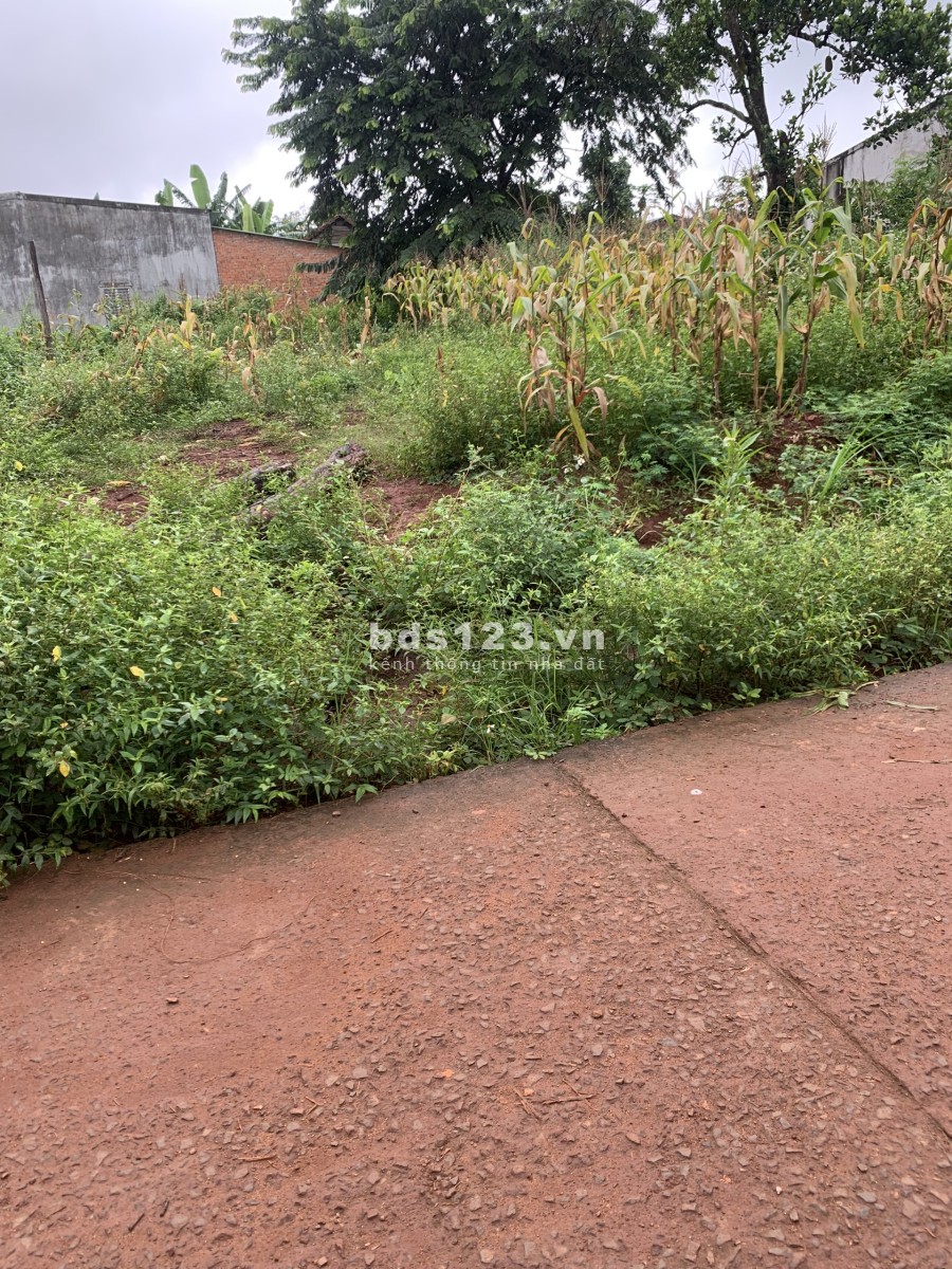 Dịch bệnh cần bán 250m2 đất ở khu trung tâm hành chính giá bán chỉ 600 triệu, sổ hồng riêng