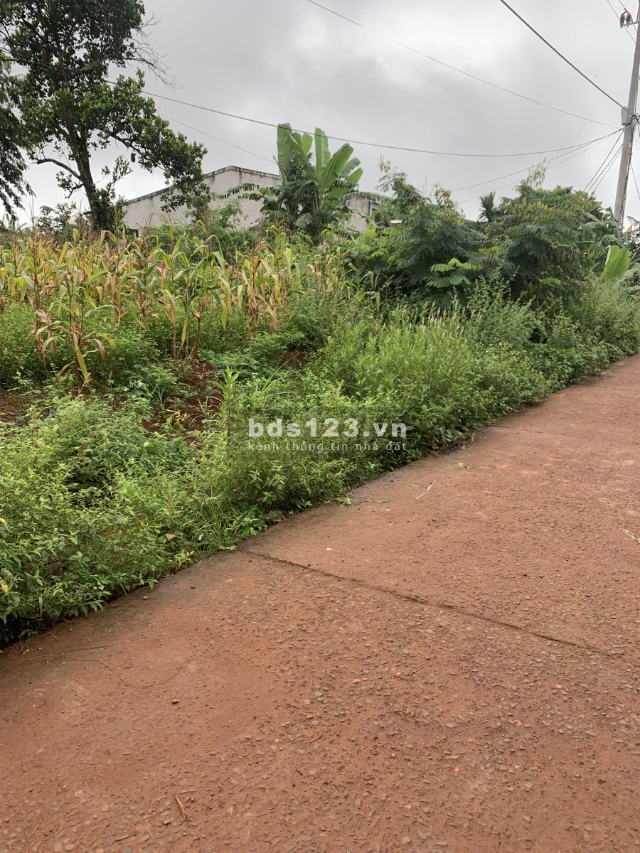 Dịch bệnh cần bán 250m2 đất ở khu trung tâm hành chính giá bán chỉ 600 triệu, sổ hồng riêng