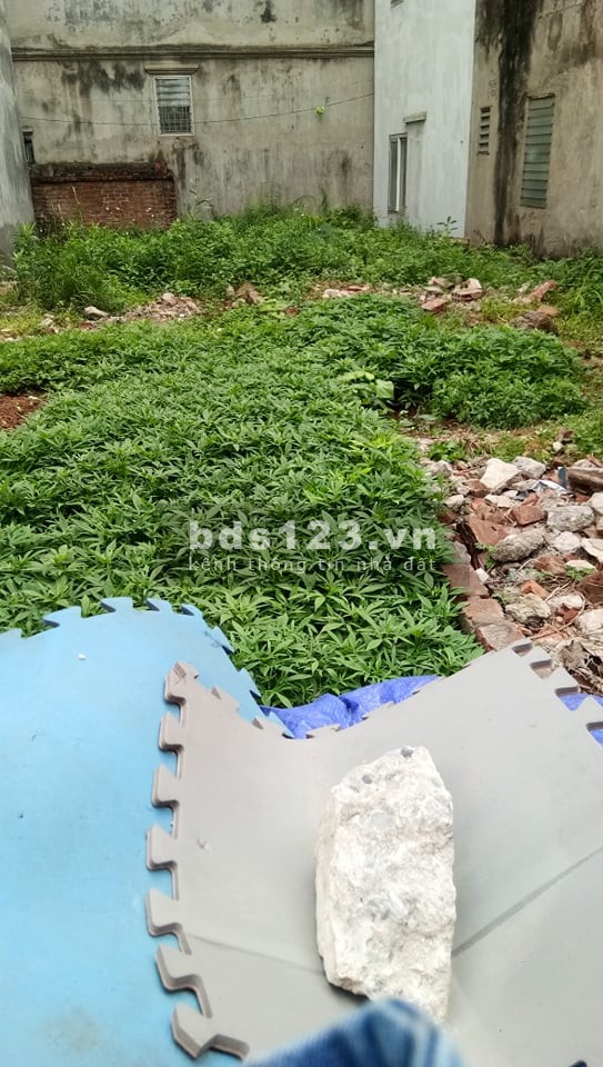 Bán gấp đất hậu dưỡng Kim Chung Đông Anh, mặt ngõ ô tô 7 chỗ tránh liên hệ 0398582332