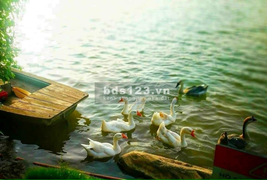 Khu đô thị Eco Garden Huế. về nhà về giữa thiện nhiên, pháp lý chính chủ, tiện ích đầy đủ
