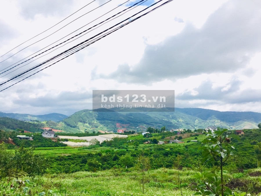 Căn hộ mặt biển cao cấp - Trả góp 0% lãi 24 tháng