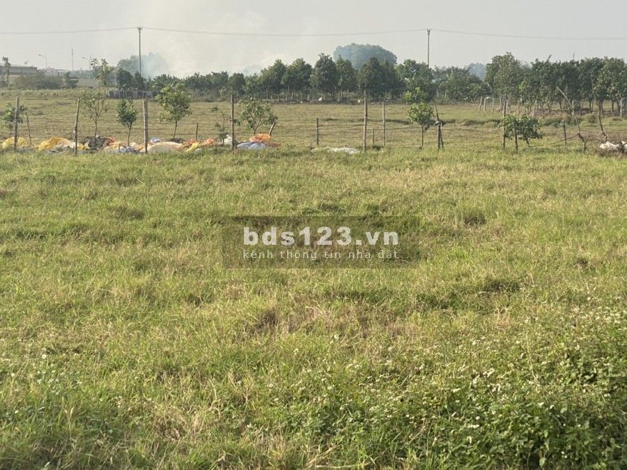 Bán 2,2Ha đất CN tại Trâu Quỳ, Gia Lâm. Vị trí đẹp, mặt tiền rộng, đường lớn, giá rẻ.