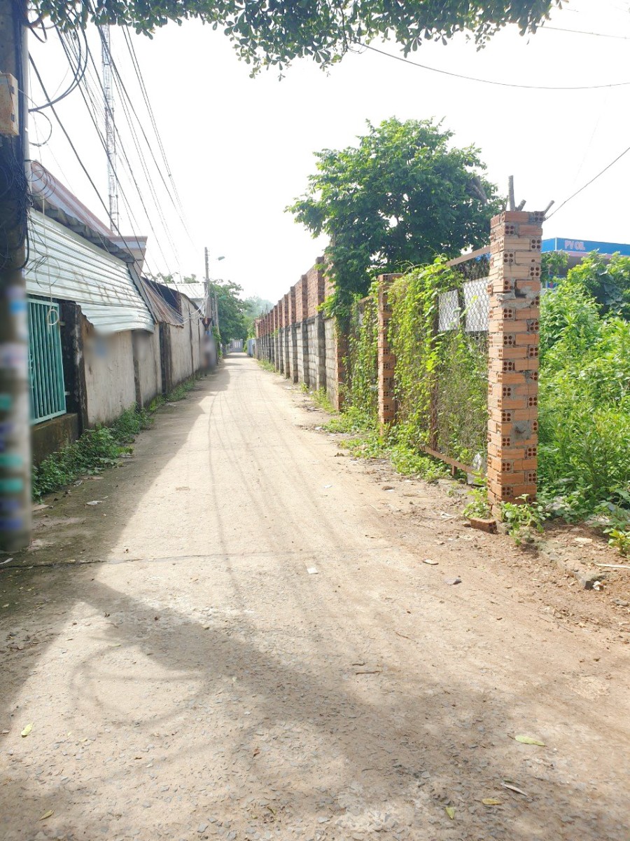 Bán đất tiềm năng kinh tế cao đường Số 6 - QL 56, xã Hòa Long, TP Bà Rịa