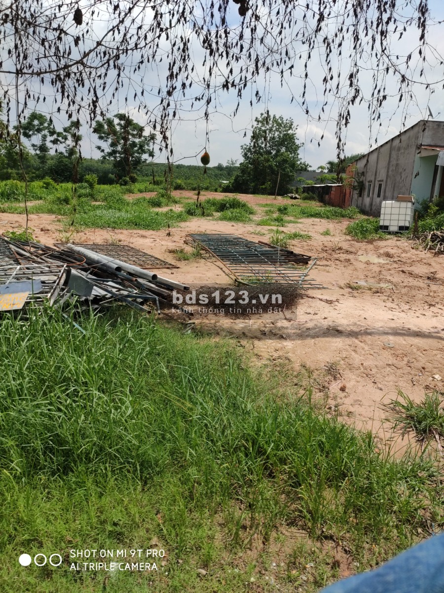 Bán miếng đất Tân Hưng 650 triệu (38,79x50) pháp lý chính chủ, sổ sẵn bàn giao ngay