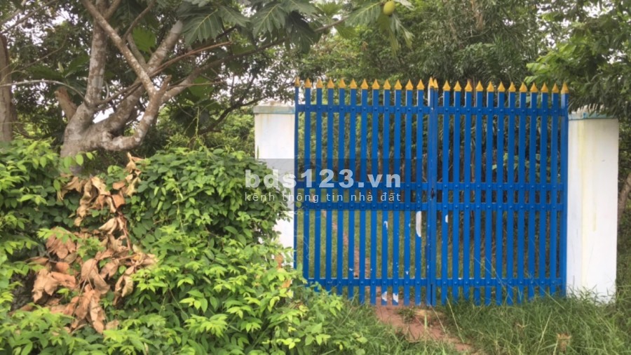 Chính chủ bán đất mặt tiền An Nhơn Tây lộ lớn đường xe contener DT 22.000m2 gần 10.000 thổ