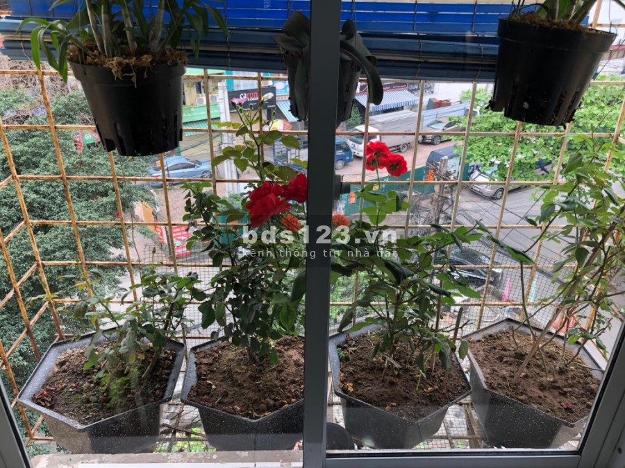 Cho thuê căn hộ chung cư góc đầu hồi nhà D8, Thành Công, Hà Nội giá 5.5 triệu/tháng