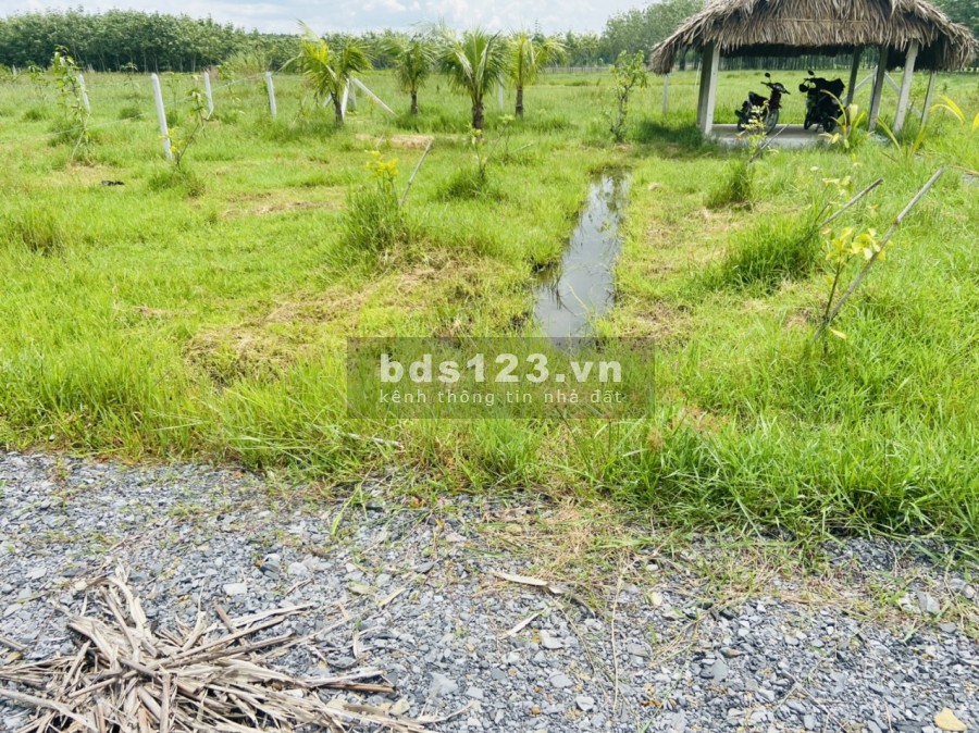 Đất nằm ngay khu dân cư đông đúc, bao quanh là nhiều khu công nghiệp lớn sang tên công chứng ngay