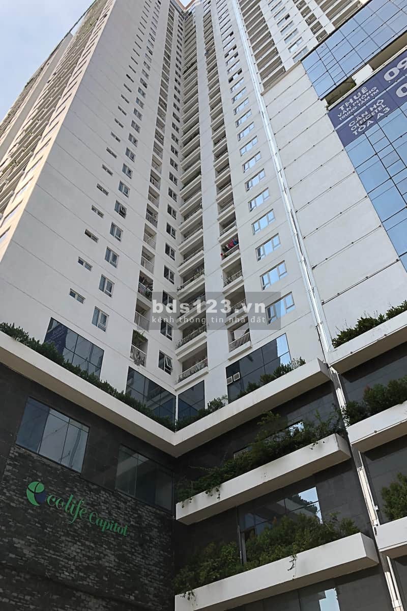 Văn phòng chuyên nghiệp chỉ với giá từ 9.9tr/tháng, diện tích từ 69-74m2 ngay tại Ecolife