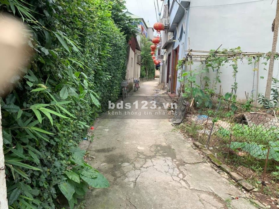 Bán mảnh đất vuông đét như tờ A4 Gia Cốc , Kiêu Kỵ, Gia Lâm đường lớn, xe vào tận đất