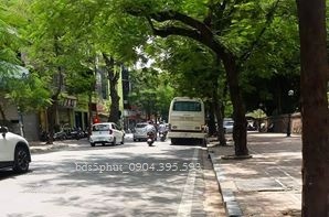 Nhà phố Quốc Tử Giám, Đống Đa dtsd 210m2 7 tầng mặt tiền 7.2m. Chào nhỉnh 250 triệu 1m2.