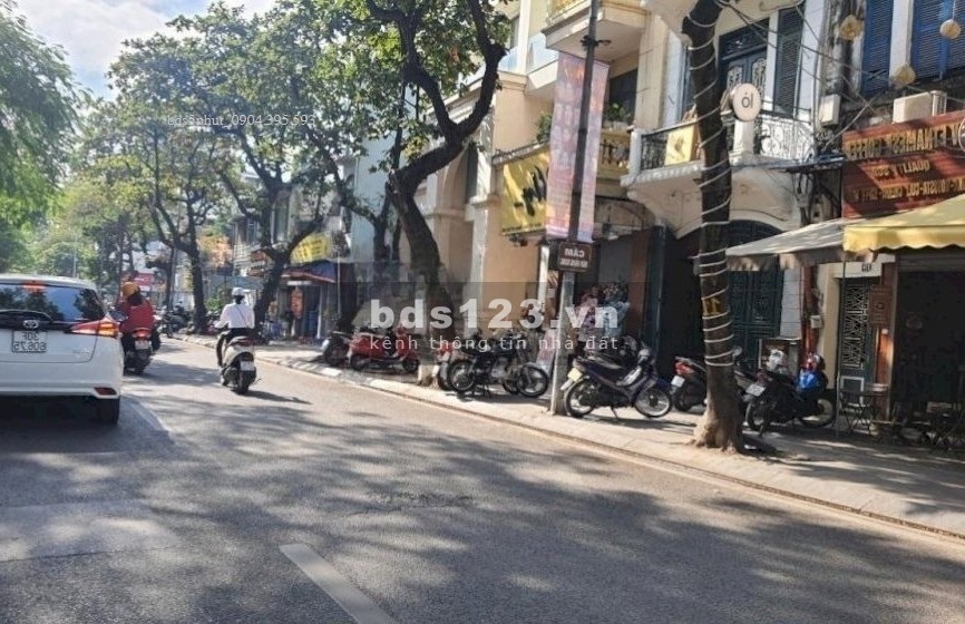 Nhà phố Quốc Tử Giám, Đống Đa dtsd 210m2 7 tầng mặt tiền 7.2m. Chào nhỉnh 250 triệu 1m2.